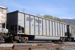 50548